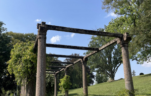 Pergola